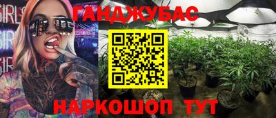 сатива Беслан