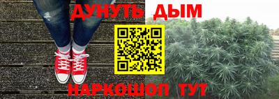 сатива Беслан