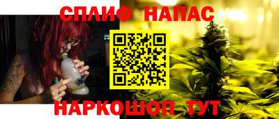 сатива Беслан