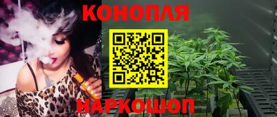 сатива Беслан