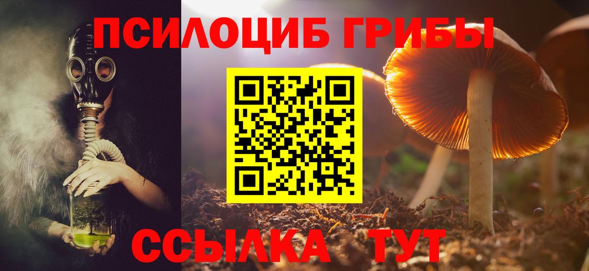 Псилоцибиновые грибы мицелий  Вход с VPN  Гудермес 